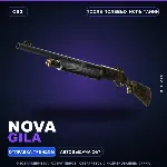 Nova | Gila | После полевых испытаний · Скин Counter-Strike 2
