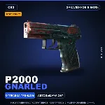 StatTrak™ P2000 | Gnarled | Закалённое в боях · Скин Counter-Strike 2
