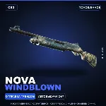 Nova | Windblown | Поношенное · Скин Counter-Strike 2