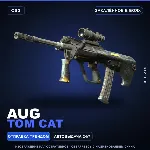 AUG | Tom Cat | Закалённое в боях · Скин Counter-Strike 2