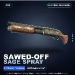 Sawed-Off | Sage Spray | Закалённое в боях · Скин Counter-Strike 2