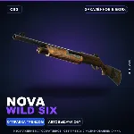 Nova | Wild Six | Закалённое в боях · Скин Counter-Strike 2