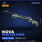 StatTrak™ Nova | Windblown | Поношенное · Скин Counter-Strike 2