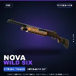 Nova | Wild Six | Поношенное · Скин Counter-Strike 2