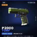 StatTrak™ P2000 | Turf | Поношенное · Скин Counter-Strike 2