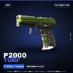 P2000 | Turf | Поношенное · Скин Counter-Strike 2