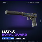 USP-S | Royal Guard | Закалённое в боях · Скин Counter-Strike 2