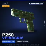 StatTrak™ P250 | Verdigris | Закалённое в боях · Скин Counter-Strike 2