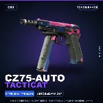 CZ75-Auto | Tacticat | Поношенное · Скин Counter-Strike 2