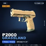 Сувенирный P2000 | Grassland | Поношенное · Скин Counter-Strike 2