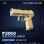 P2000 | Grassland | После полевых испытаний · Скин Counter-Strike 2