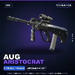 AUG | Aristocrat | Поношенное · Скин Counter-Strike 2