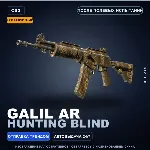 Сувенирный Galil AR | Hunting Blind | После полевых испытаний · Скин Counter-Strike 2