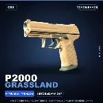 P2000 | Grassland | Поношенное · Скин Counter-Strike 2