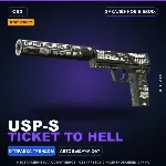 StatTrak™ USP-S | Ticket to Hell | Закалённое в боях · Скин Counter-Strike 2
