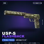 USP-S | Flashback | Поношенное · Скин Counter-Strike 2