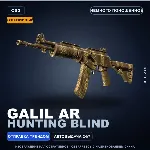 Сувенирный Galil AR | Hunting Blind | Немного поношенное · Скин Counter-Strike 2
