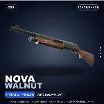 Nova | Walnut | Поношенное · Скин Counter-Strike 2
