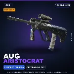 StatTrak™ AUG | Aristocrat | Поношенное · Скин Counter-Strike 2