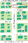 Диплом Проект торгового формата дискаунтер 81% уникальн - irongamers.ru
