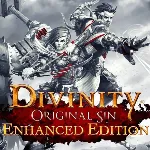 Divinity: Original Sin Enhanced Edition аккаунт + EMAIL - irongamers.ru