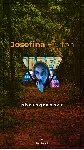 Видео шаблон для инстаграм - irongamers.ru