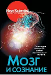 Мозг и сознание - irongamers.ru