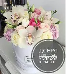 Новейшая База самых крутых поставщиков 2020