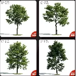 Evermotion Archmodels vol.171