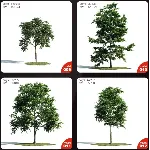 Evermotion Archmodels vol.171