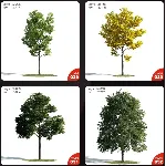 Evermotion Archmodels vol.171