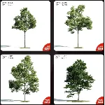 Evermotion Archmodels vol.171