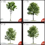 Evermotion Archmodels vol.171