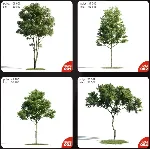 Evermotion Archmodels vol.171