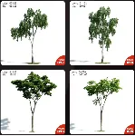 Evermotion Archmodels vol.171