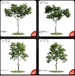 Evermotion Archmodels vol.171
