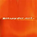 Инвайт на Bitspyder.net - irongamers.ru