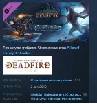 Pillars of Eternity II: Deadfire Beast of Winter STEAM - irongamers.ru