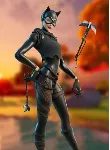 Fortnite Catwoman's Claw Pickaxe key Global  🌍 