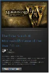 Elder Scrolls III Morrowind GOTY (Steam Gift RegFree)