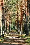 Света, я вернулся - роман, фентези