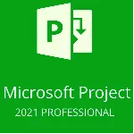 💎 MICROSOFT PROJECT 2021 PRO - Online RETAIL KEY💎 