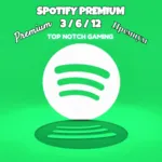 1/3/6/12 МЕСЯЦЕВ SPOTIFY PREMIUM РАБОТАЕТ В РФ - irongamers.ru