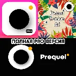 Prequel Редактор Фото и Видео PRO iPhone ios AppStore - irongamers.ru