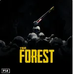 The Forest | PS4/PS5 | Турция - irongamers.ru
