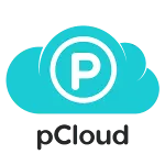 Облако pCloud семейный доступ на 2 ТБ пожизненно