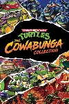 Teenage Mutant Ninja Turtles Cowabunga Xbox активация