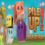 Pile Up! Box by Box (Steam ключ / РФ+Весь Мир)