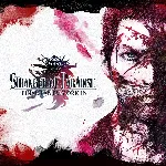 STRANGER OF PARADISE FINAL FANTASY ORIGIN DELUXE STEAM - irongamers.ru