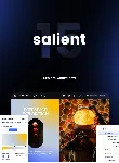 Salient [17.3.0] - Русификация премиум темы 🔥 💜 